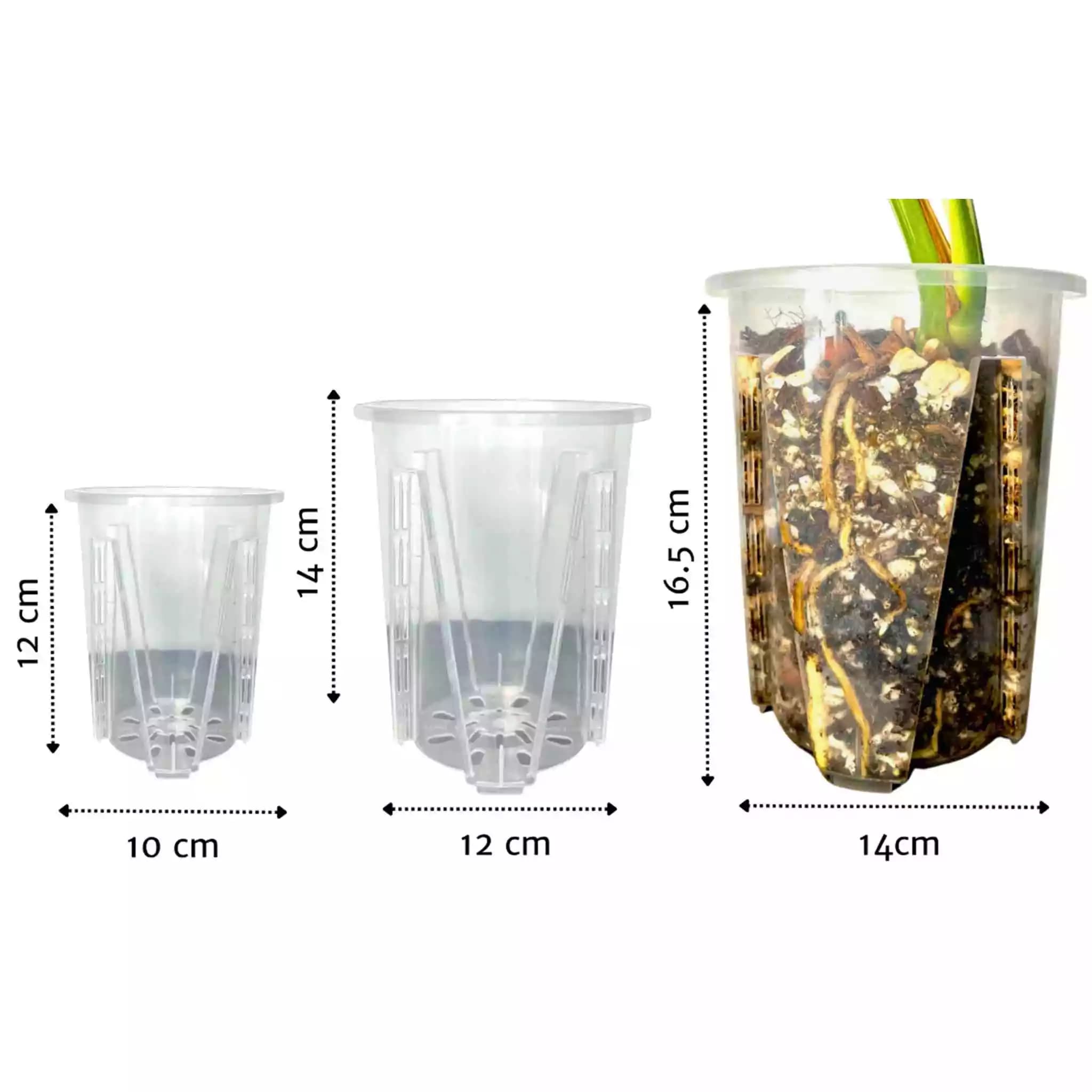 maceta-Aroid-Pot