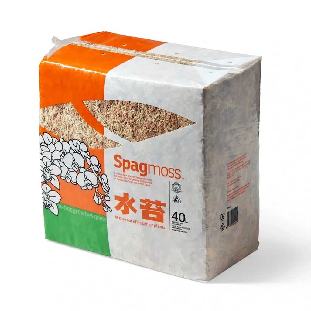 Musgo sphagnum seco 500gr de fibra larga de altísima calidad para tus ecosistemas al mejor precio que puedes encontrar