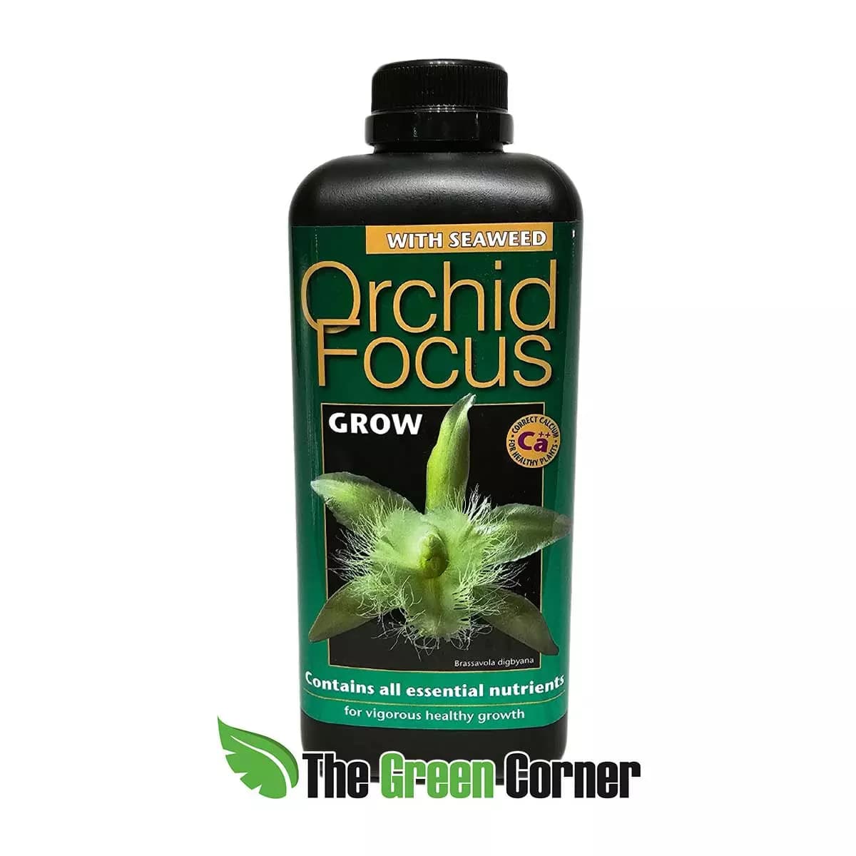 orchifocus-grow-litro