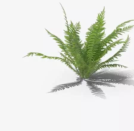 Plantas Artificiales