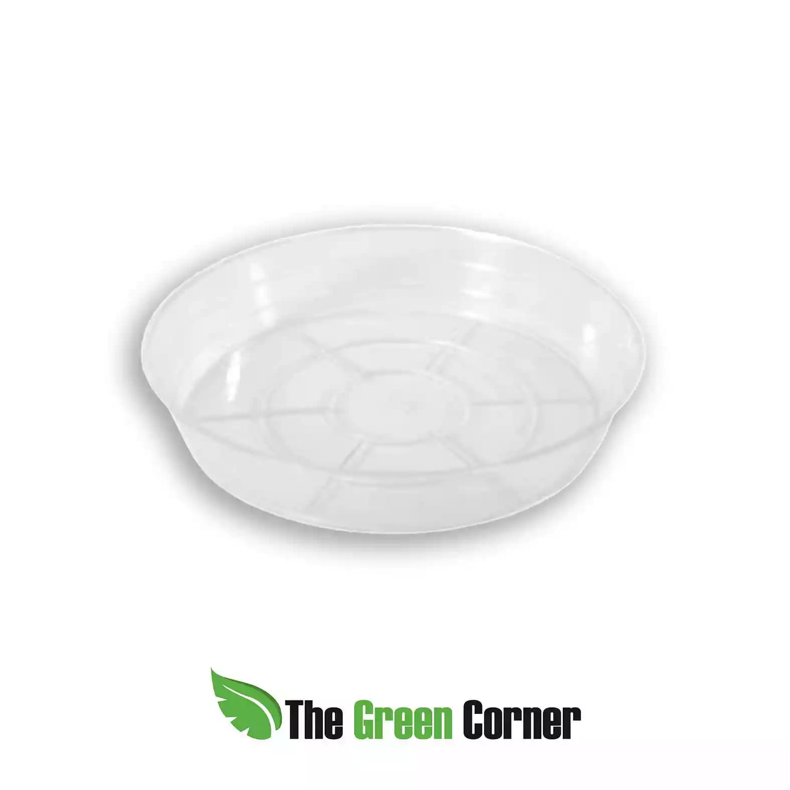 Plato para maceta Aroid pot: 14cm