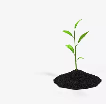 Sustratos y abonos para plantas