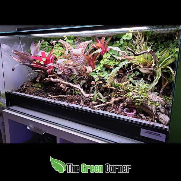 terrario-80x40x40-2