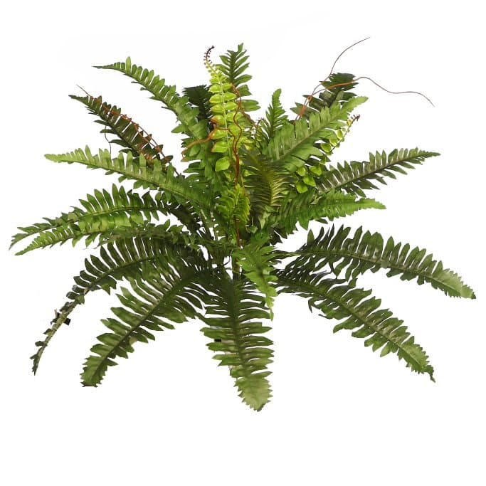 Helechos y otras plantas artificiales para realizar tus composiciones naturales de la manera mas fácil y cómoda