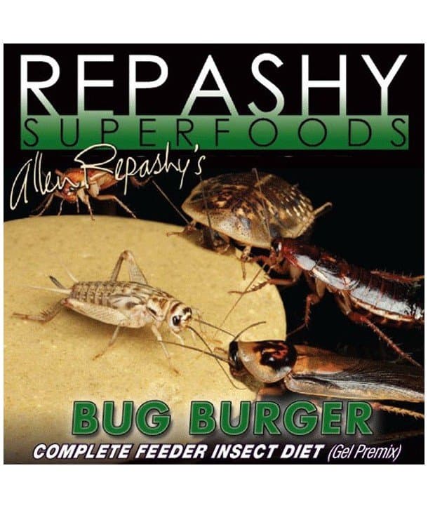 Alimento completo para cualquier tipo de insecto(destinados a alimento vivo)