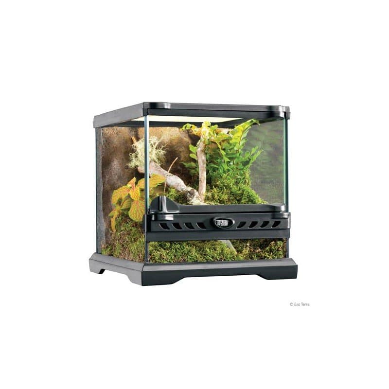 TERRARIOS EXO TERRA DE CRISTAL Nano Wide 20x20x20cm