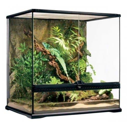 TERRARIOS EXO TERRA DE CRISTAL Med.Tall 60X45X60cm