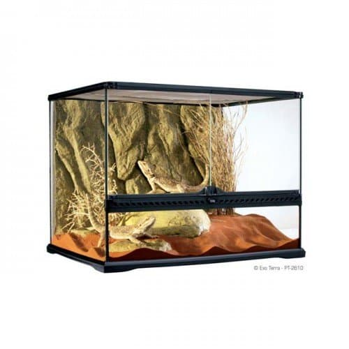 TERRARIOS EXO TERRA DE CRISTAL Med. Wide 60X45X45cm
