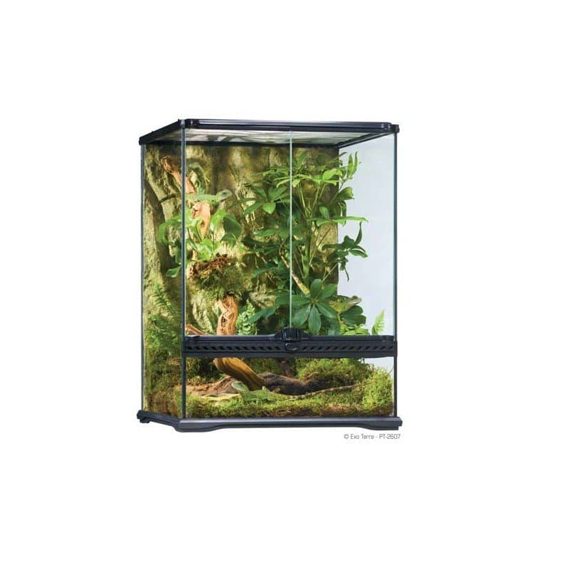 Los Terrarios de Exo Terra son un hogar ideal para reptiles y anfibios y han sido diseñados por herpetólogos europeos. Todos los tamaños