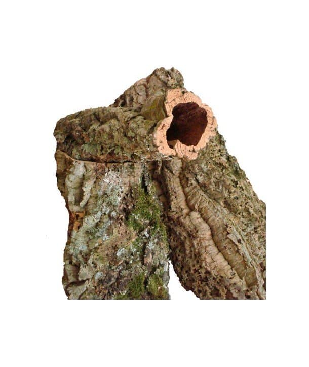 Tubo de corcho natural imprescindible para todo tipo de decoraciones naturales