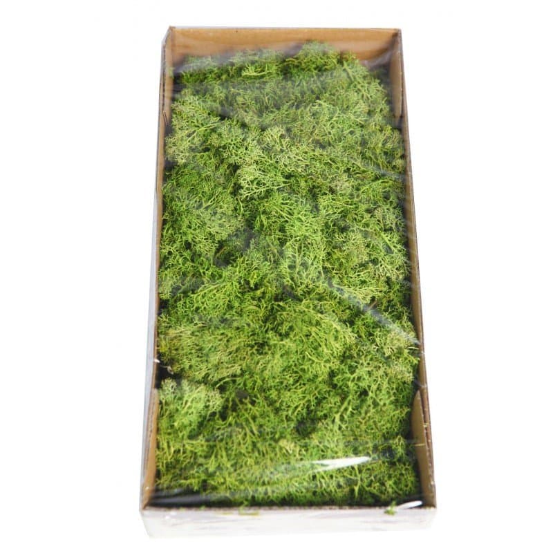Haz la mejor selección de planta artificial con este musgos finlandés verde para conseguir composiciones de gran calidad.