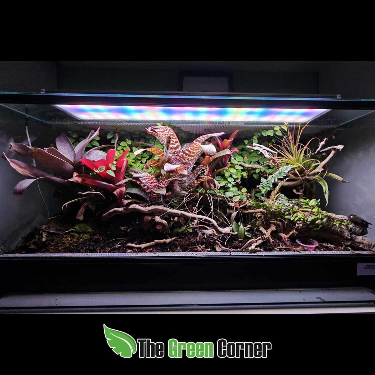 terrario-80x40x40-principal