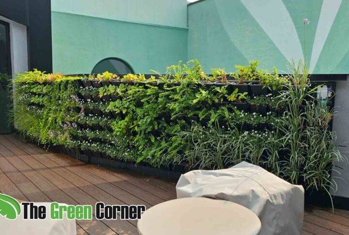 Jardín vertical en terraza — jardinería y arquitectura por The Green Corner