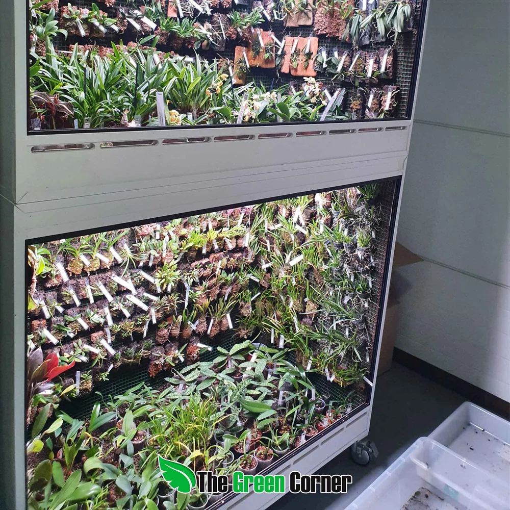 detalle de terrario en formato display