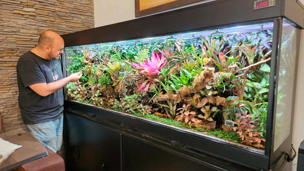 vivario/terrario diseñadp para coleccion botanica y Dendrobates