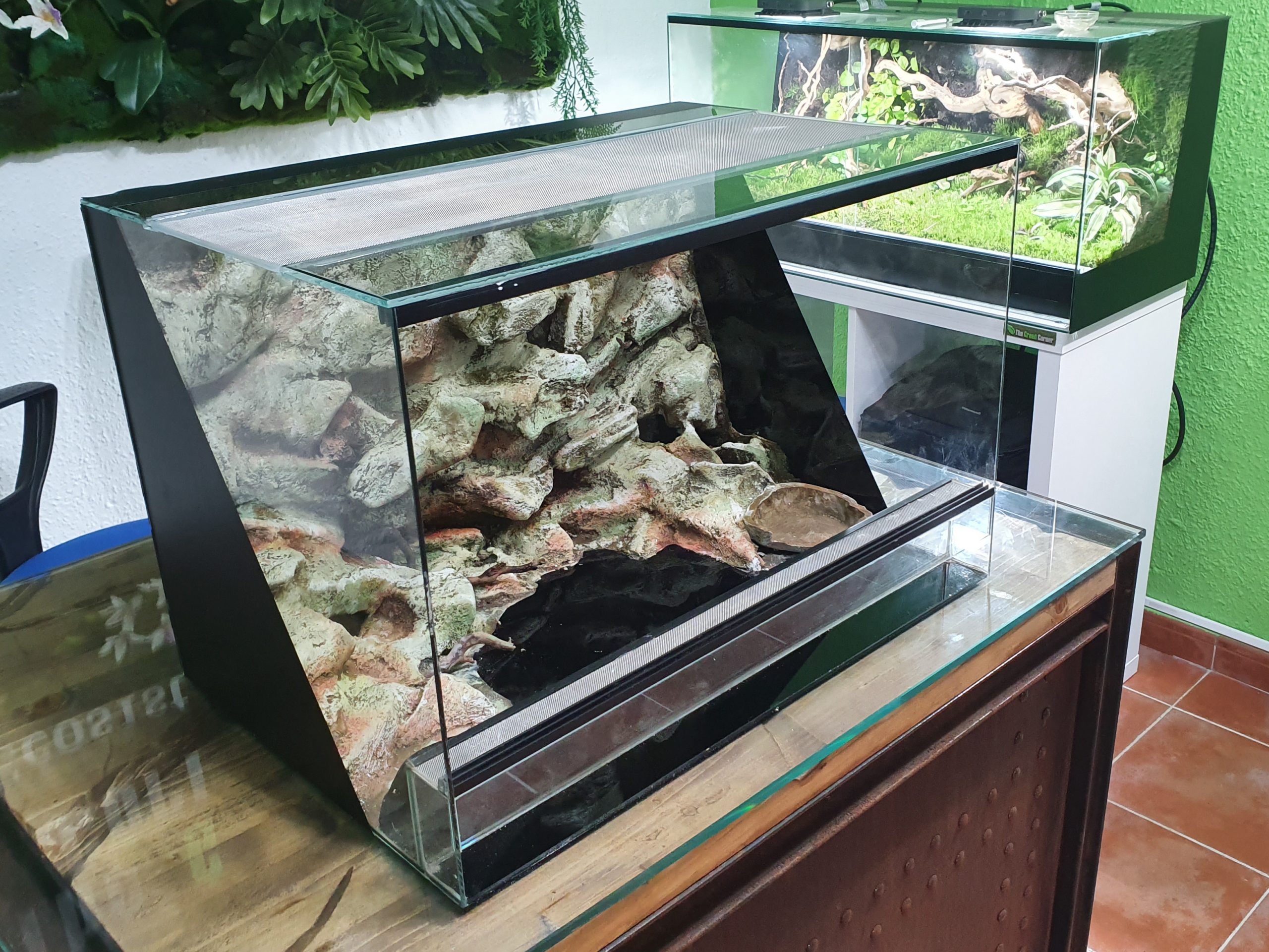 Habitat desertico para Geckos Leopardo