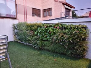 Jardin vertical natural en vivienda particular
