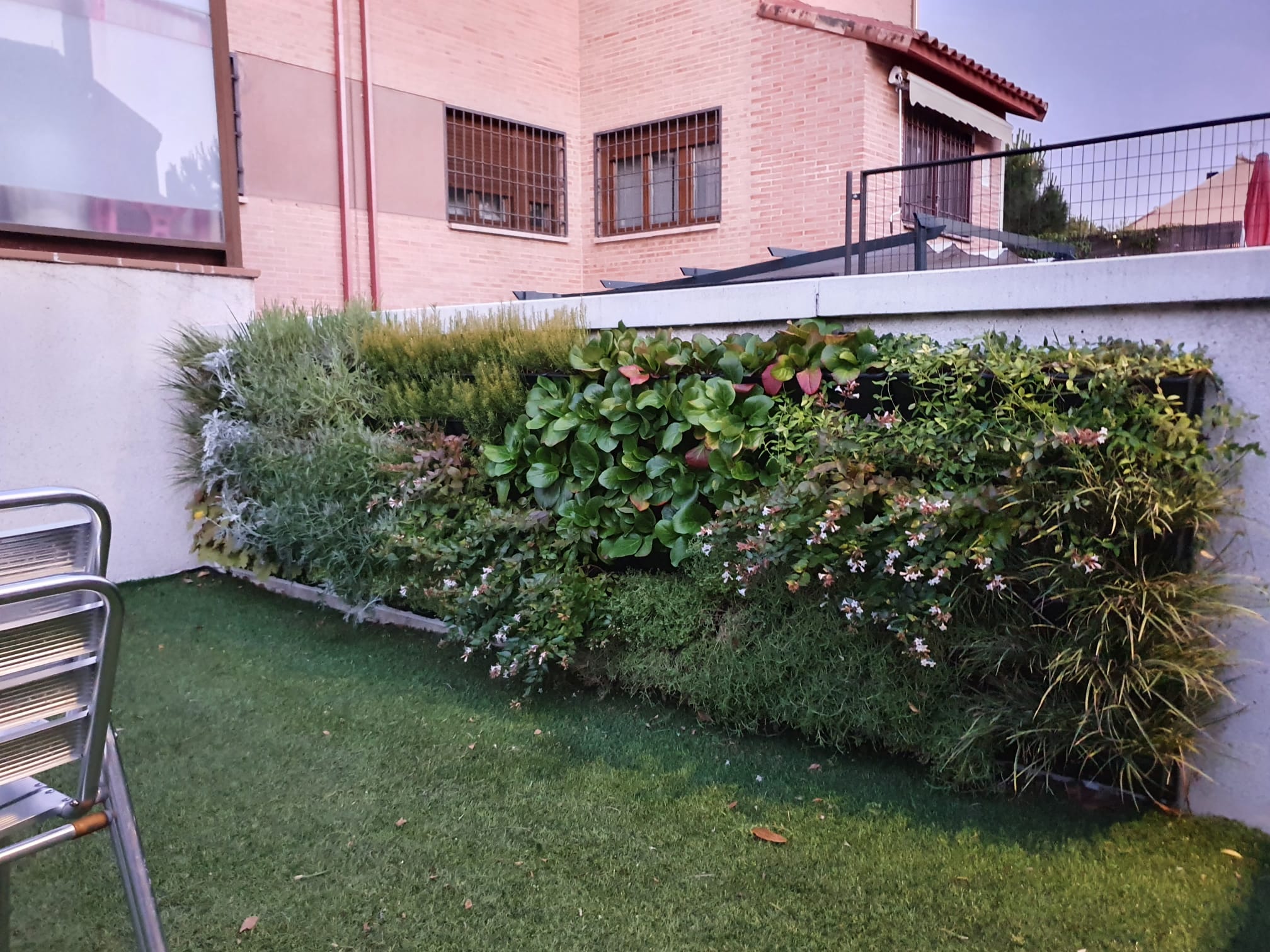 Jardin vertical natural en vivienda particular