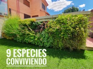 jardin-vertical-modular