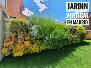 jardin-vertical-crecimiento