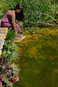 Jardín vertical - Biofiltro para estanque