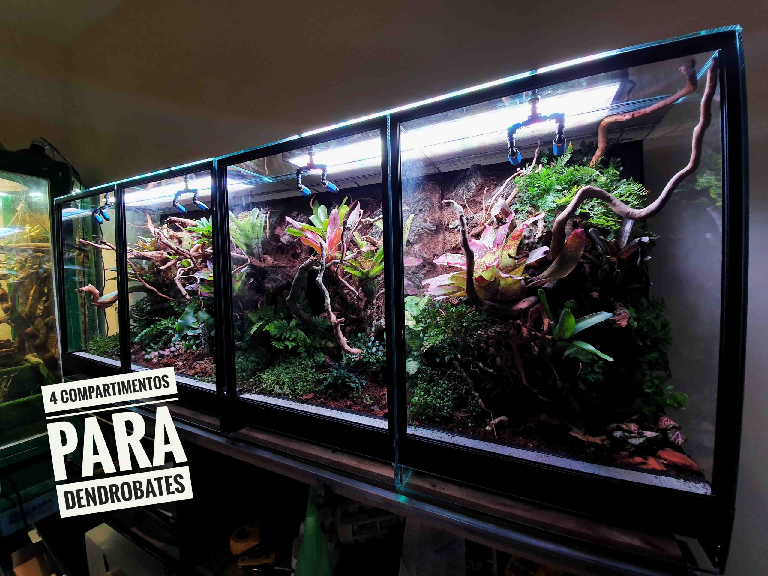 Terrarios tropicales para clientes