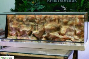 TERRARIO PARA GECKOS LEOPARDO: Hábitat de grandes dimensiones