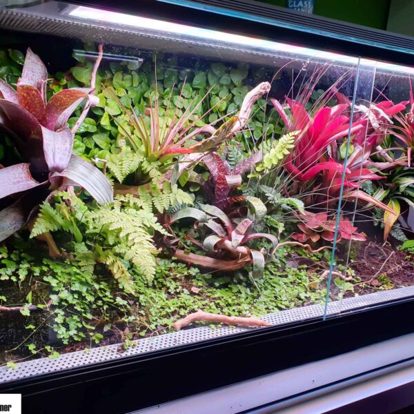ideal para ecosistemas exigentes
