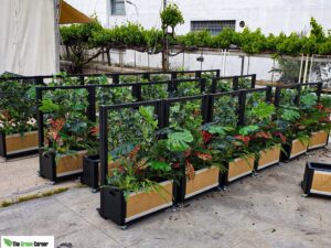 Jardineras para Restaurante