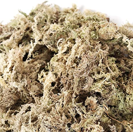 Musgo sphagnum-100gr