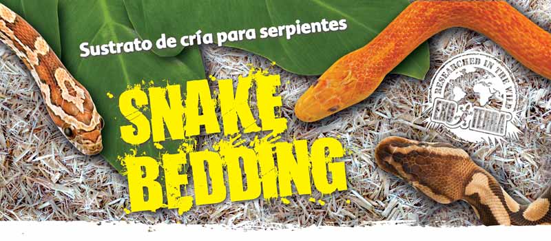 Banner-Snake-bedding