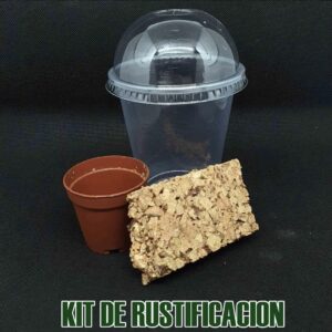 kit-de-rustificacion-letras