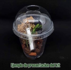 ejemplo-kit-rustificacion