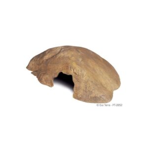 cueva-reptile-cave-exo-terram
