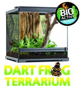 terrario-para-dendrobates-bio-activo