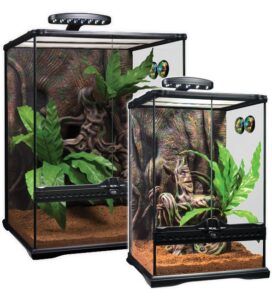 Terrario con todo lo necesario para tener a tu gecko crestado en las mejores condiciones