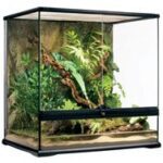 decoracion-terrario-exo-terra