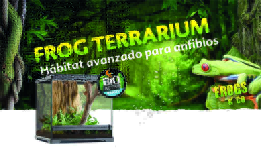 terrario-para-ranas-banner