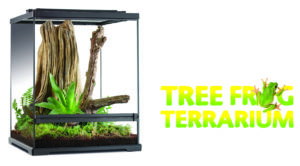 terrario-para-ranas-muestra
