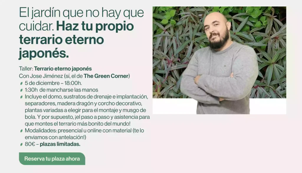 taller terrario eterno 1