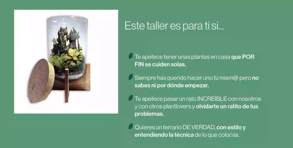 taller terrario eterno 4
