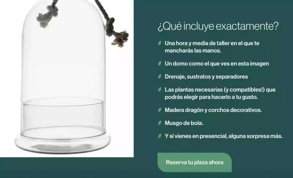 taller terrario eterno 2