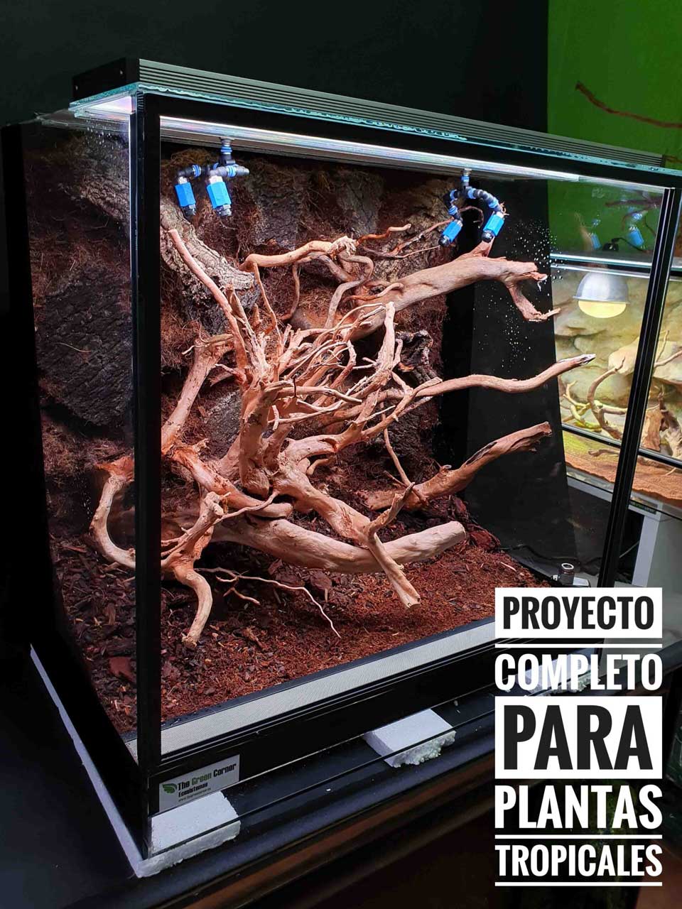 IMAG-GLAERIA-3