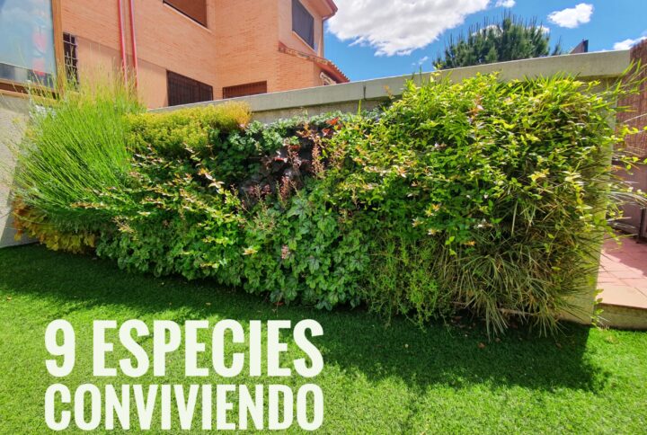 Jardin-vertical-2022