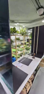 Preparacion de los insertos