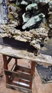 detalle del acceso al acuario