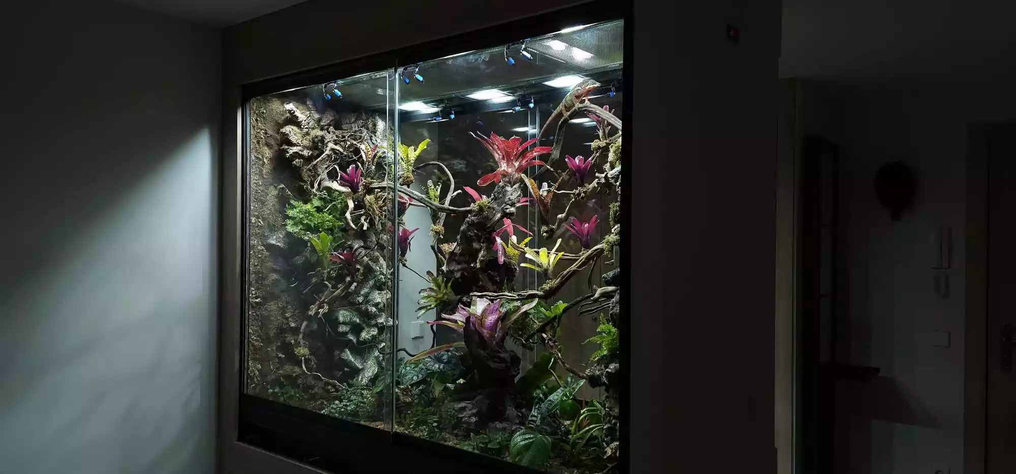 Terrario Tropical de 170x80x140 a medida: Nuestro Proyecto mas ambicioso hasta la fecha