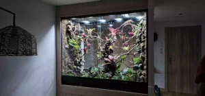 terra fron plantado