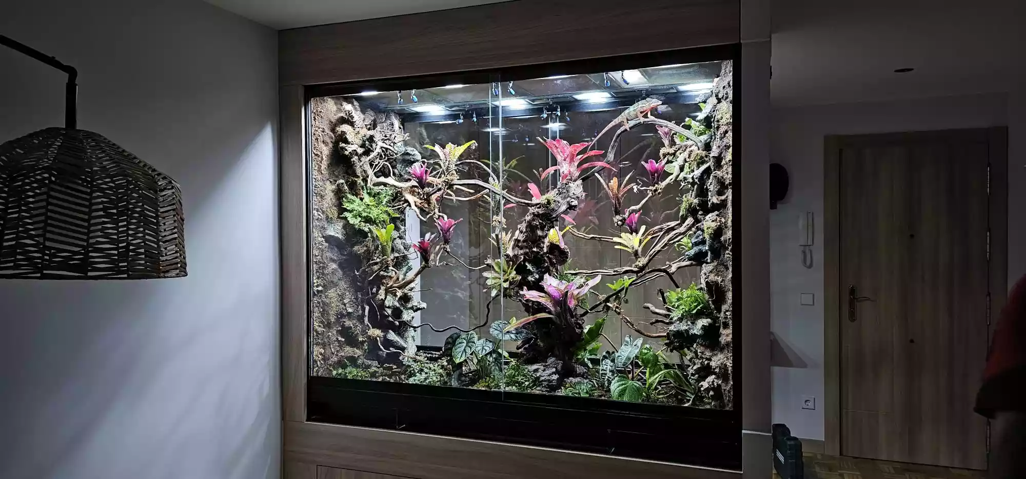 Guía Práctica de Terrarios, Plantas, Riegos y Luz