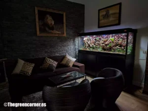 terrario en salon